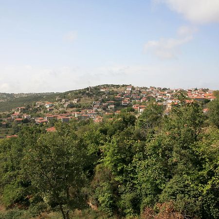 Arhontiko Parnona Hotel Karyes Esterno foto