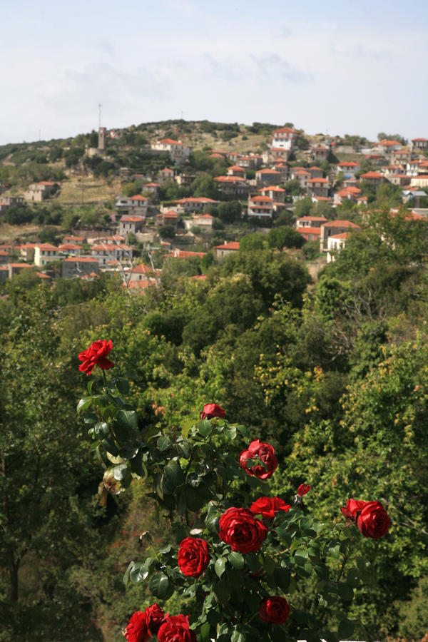 Arhontiko Parnona Hotel Karyes Esterno foto